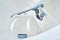 Biodevice ECO 3